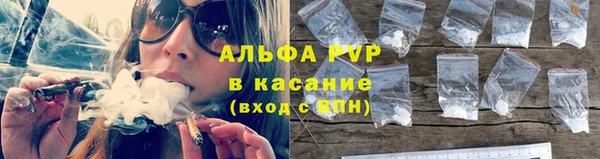spice Аркадак