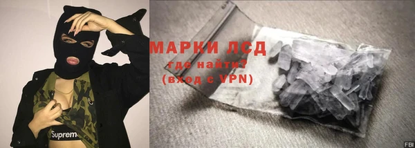 spice Аркадак