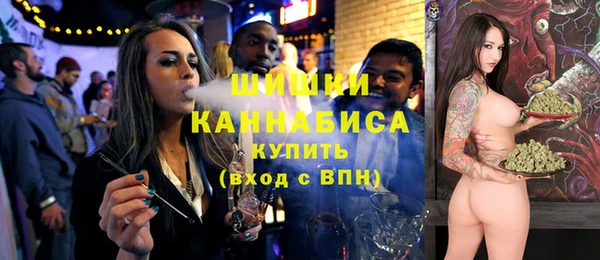 spice Аркадак