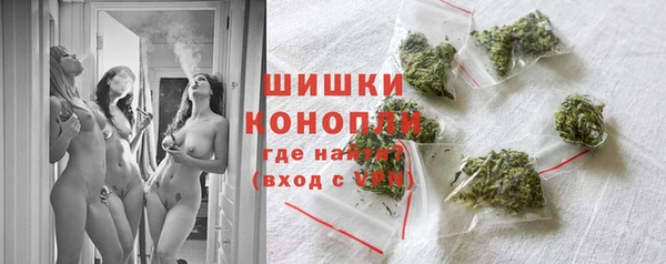 spice Аркадак