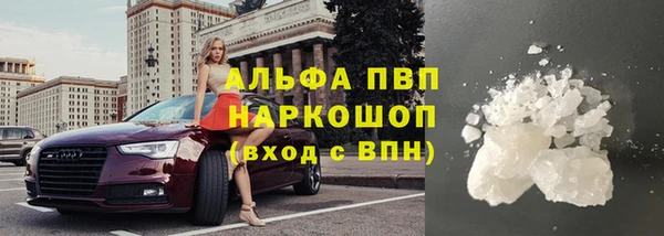 spice Аркадак