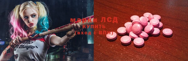 spice Аркадак