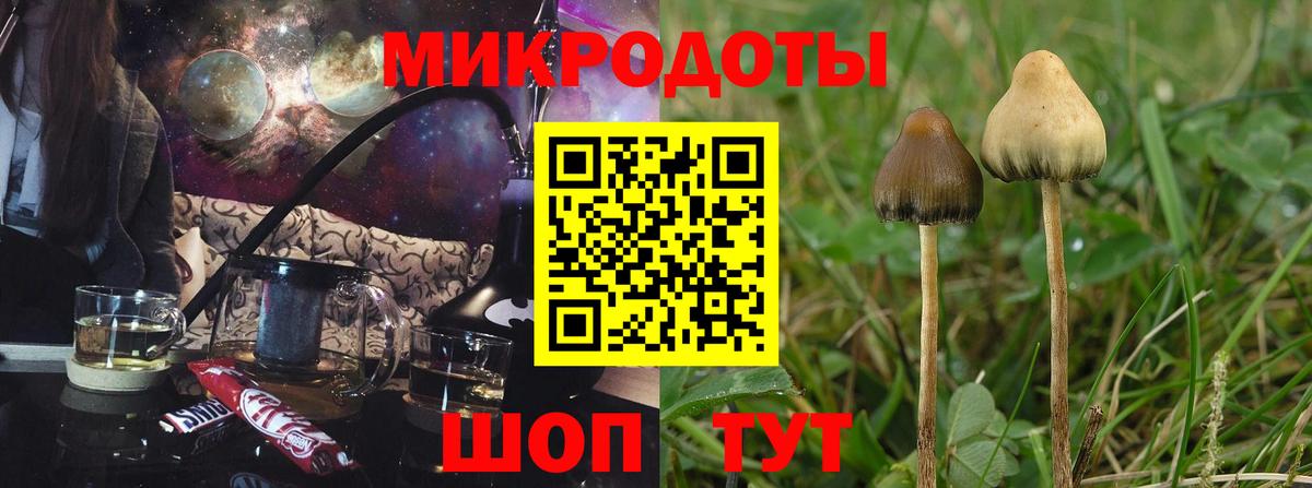 Галлюциногенные грибы Psilocybe  Псилоцибиновые грибы мицелий  Радужный  Вход с VPN 