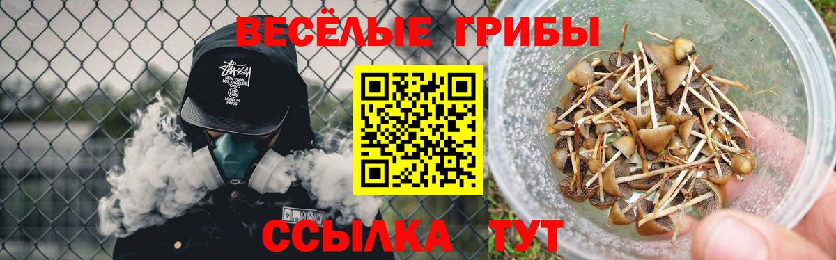 Галлюциногенные грибы Psilocybine cubensis Радужный